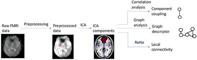 Aberrant Correlation Between the Default Mode and Salience Networks in Mild Traumatic Brain Injury